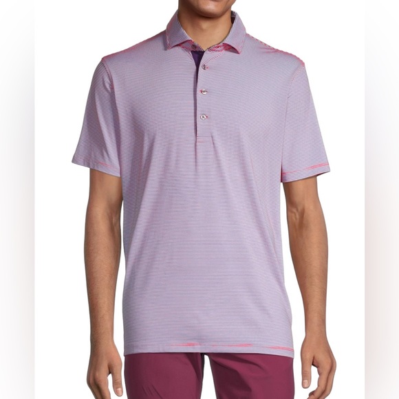 Greyson Saranac Striped Polo, Sasanqua, NWT $98, Small - Picture 2 of 7